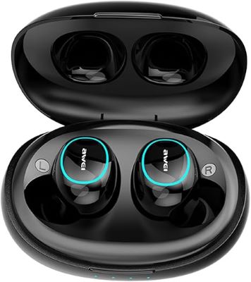 AWEI T60 Earbuds